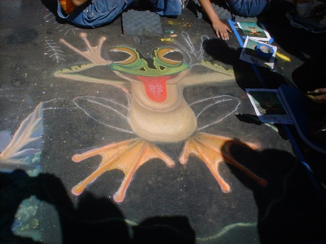 frog